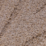 SEGURA_API_RUN:20260827_124115_images