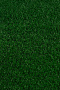 SEGURA_API_RUN:20260827_123944_images