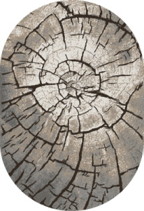 Открыть 46215_45154_O Фото 46215_45154_O