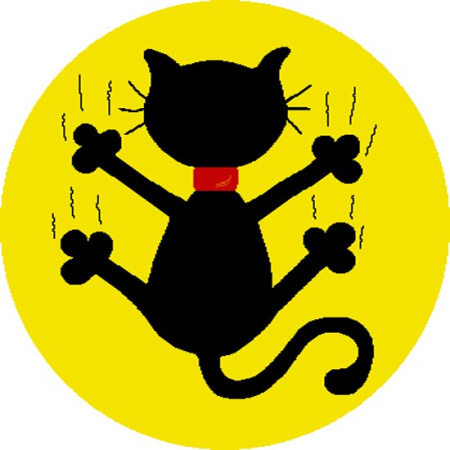 Фото 20815_22055_KR