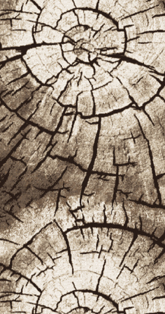 Фото 15851_10842_R