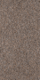SEGURA_API_RUN:20260827_124115_images