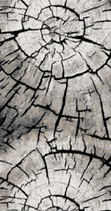 Фото 15751_10744_R