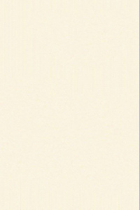 Фото 8355A_CREAM_CREAM_N