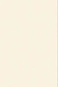 Фото 8354A_CREAM_CREAM_N